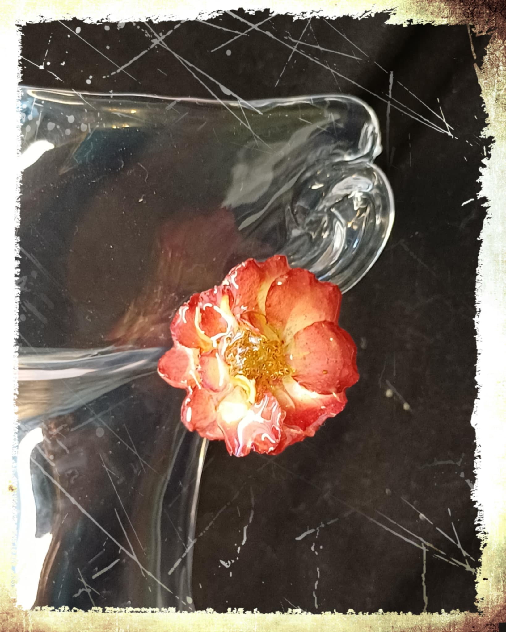 Puces d'oreilles Roses 