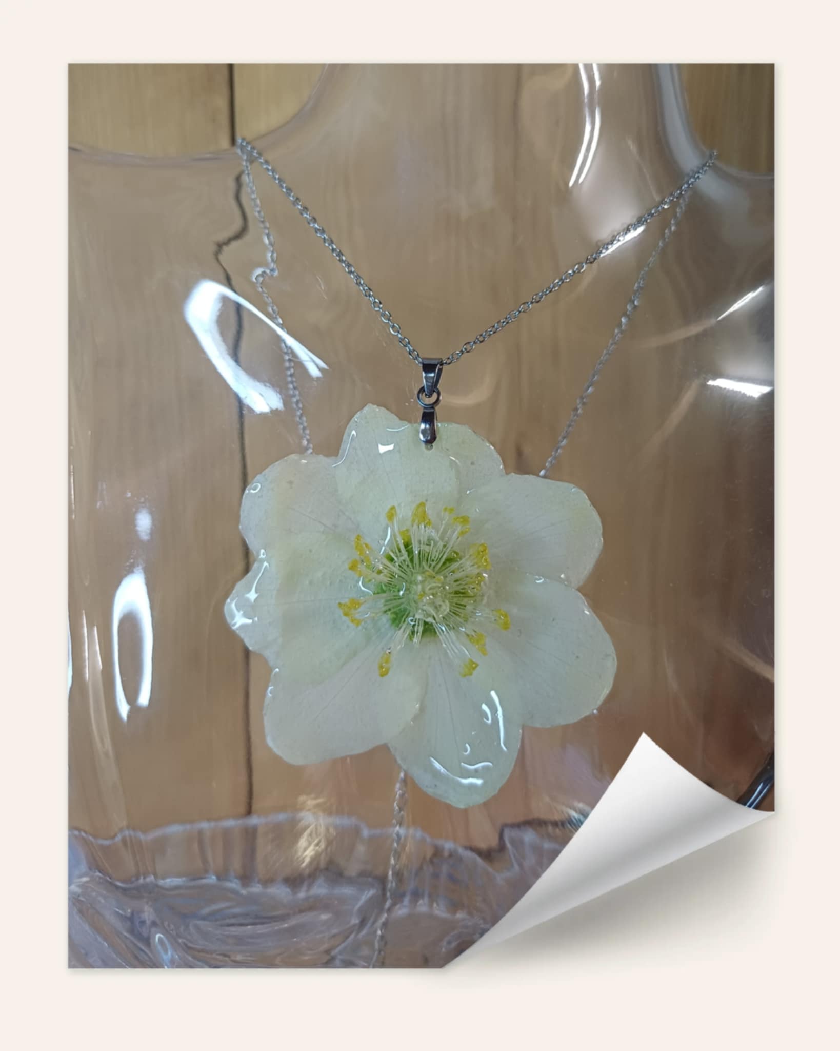 Collier Hellébore blanche