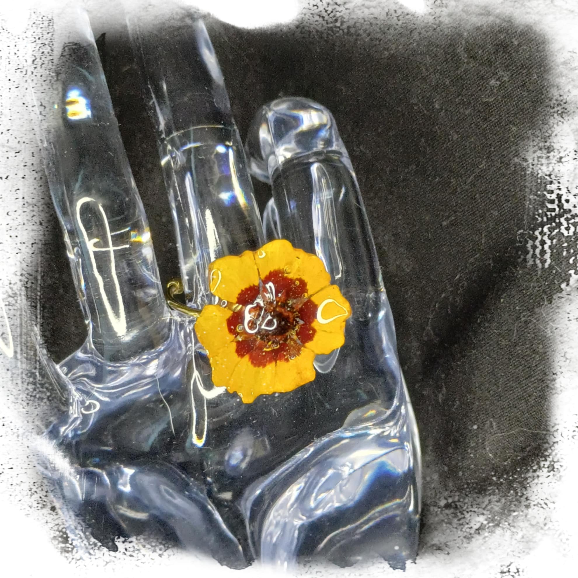 Bague fleur de Coréopsis