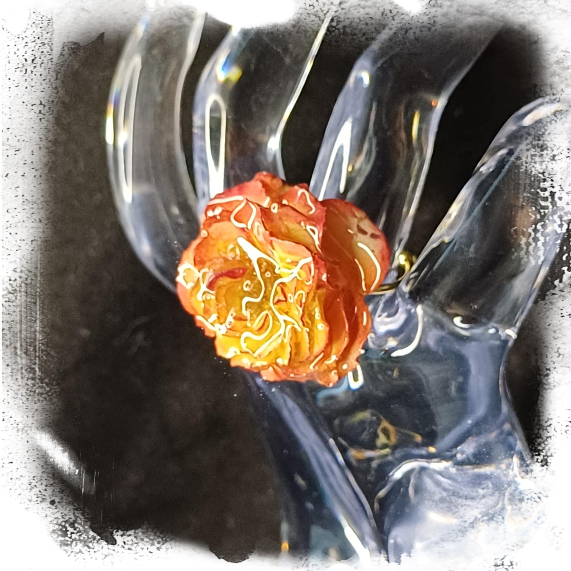 Bague Rose jaune et rose foncé