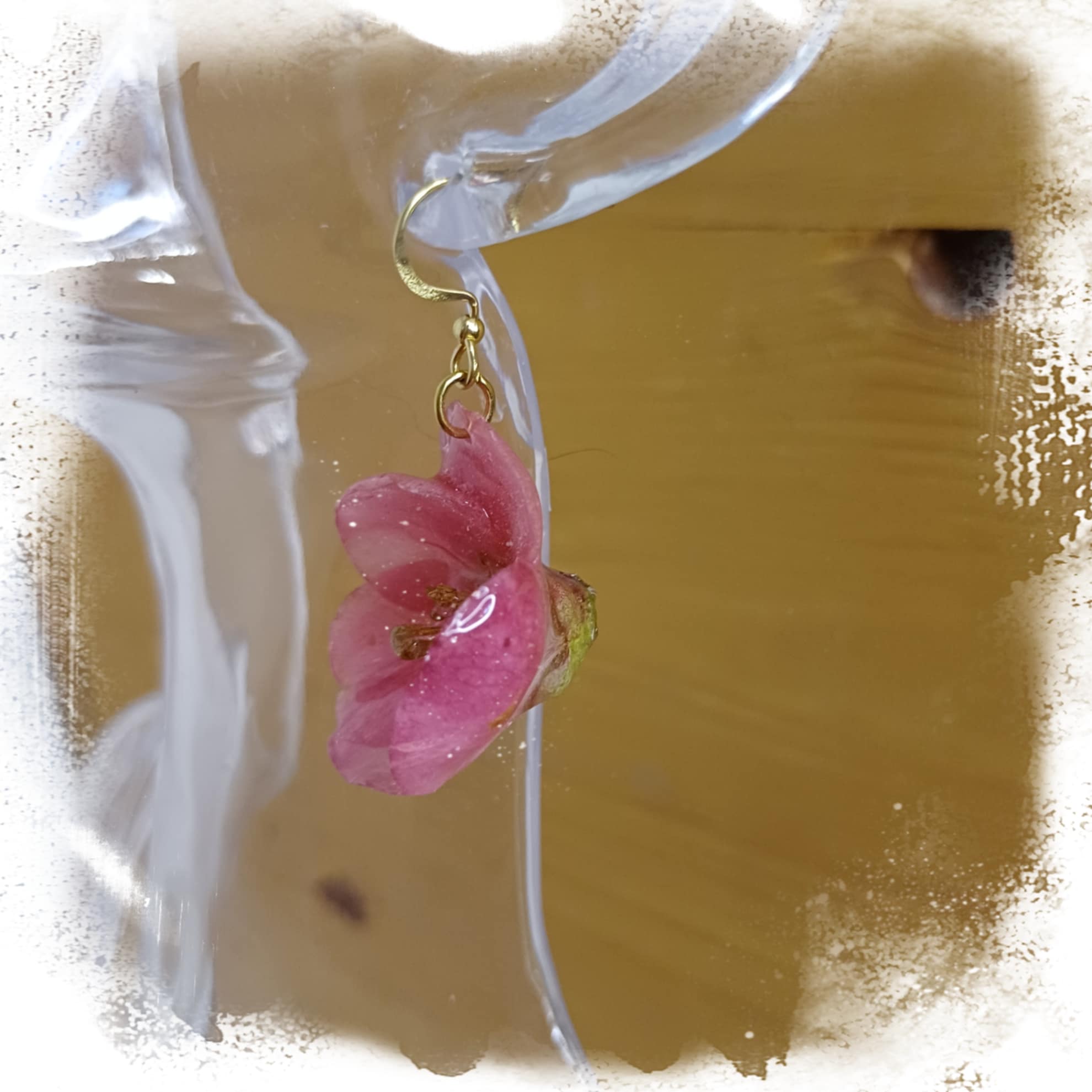 Boucles Cognassier du Japon