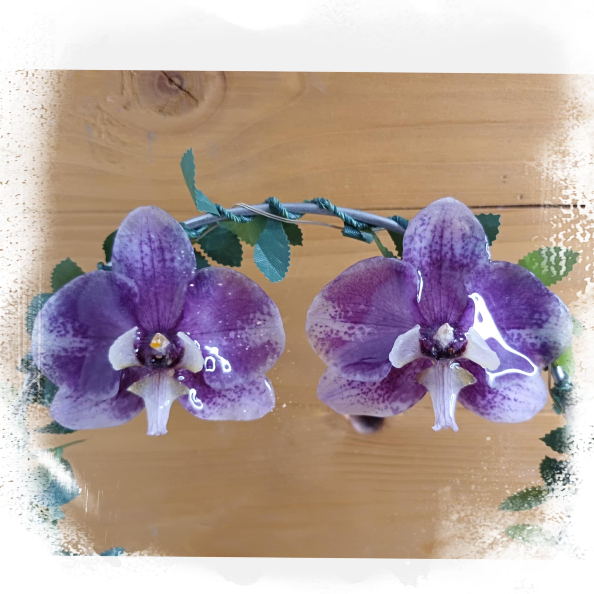 Puces d'oreilles orchidées 