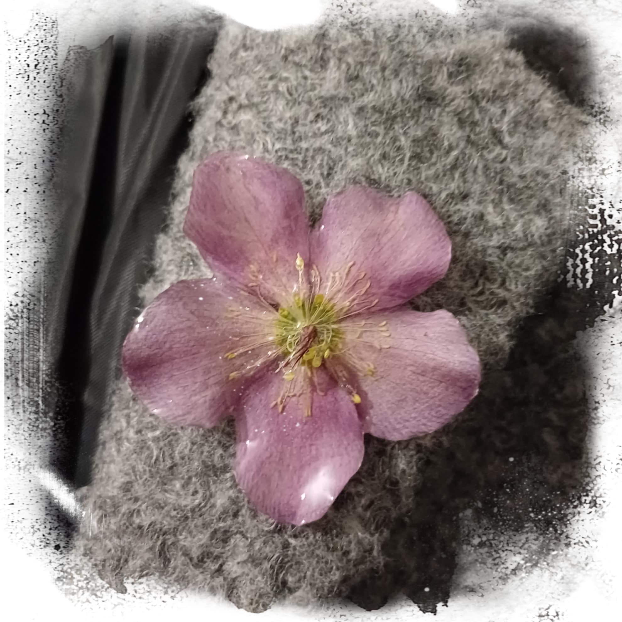Broche Hellébore mauve/rose