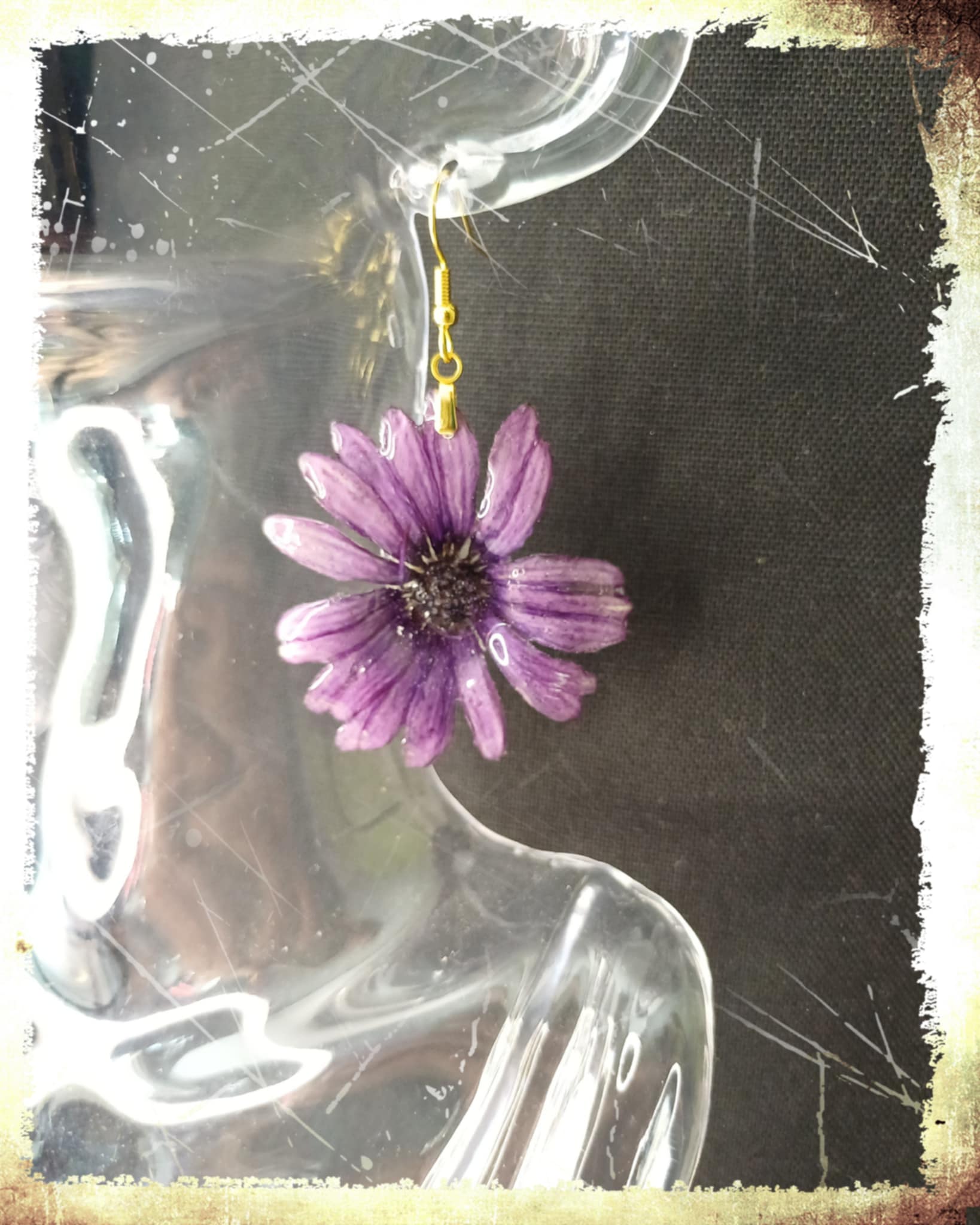 Boucle fleur Osteospermum violet