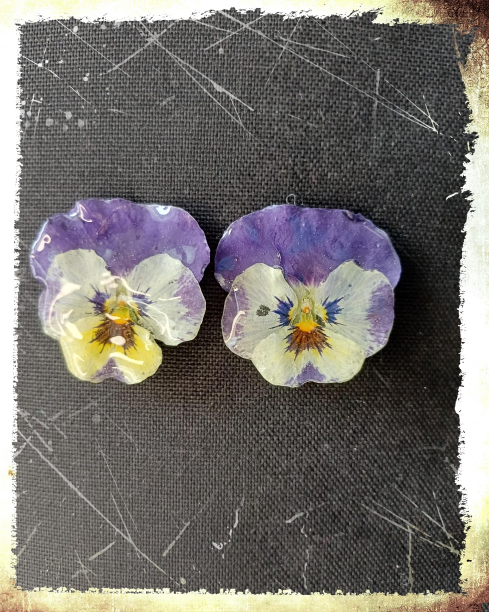 Puces d'oreilles Pensées