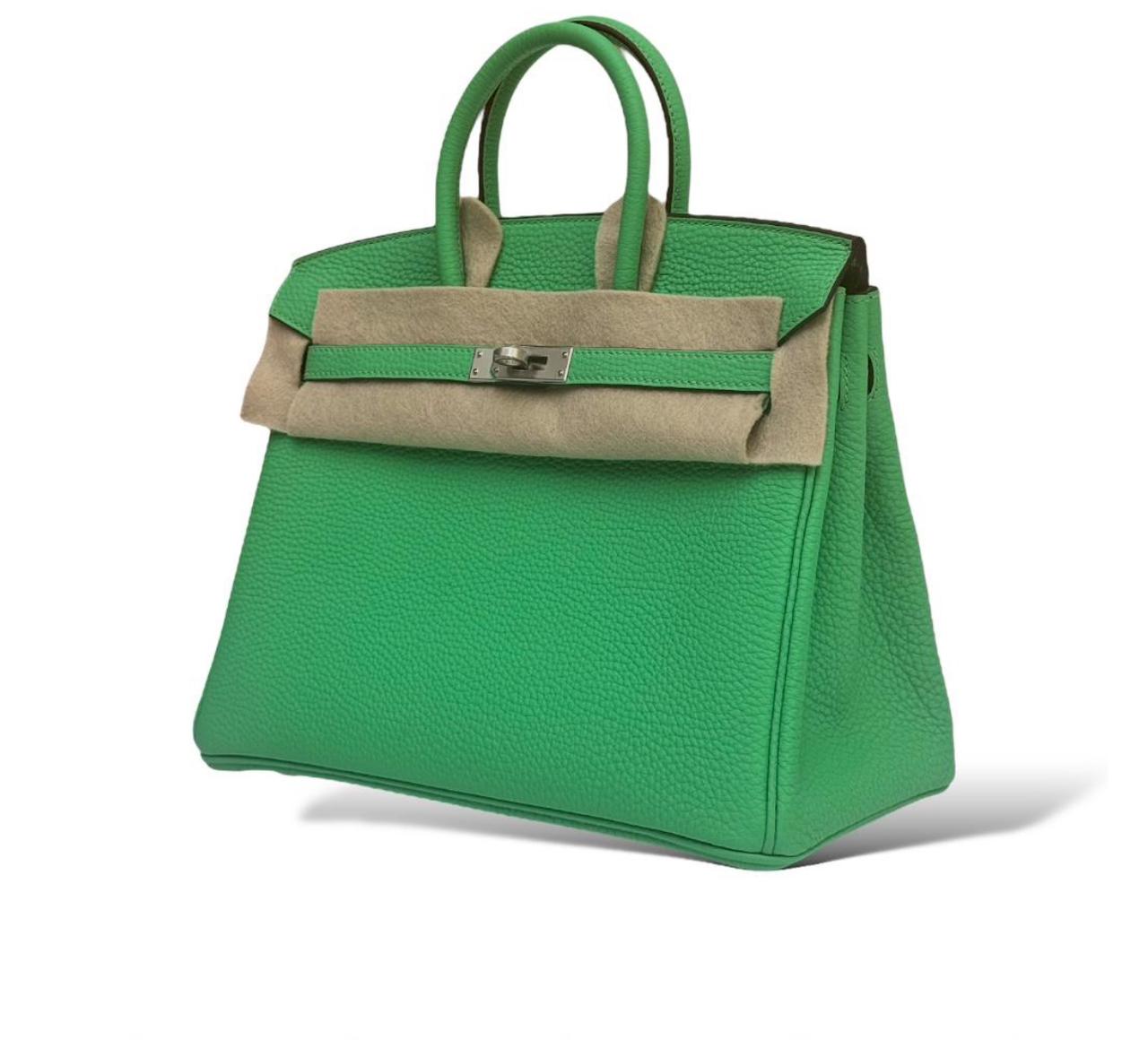Hermes Birkin 25 Vert Comice Togo