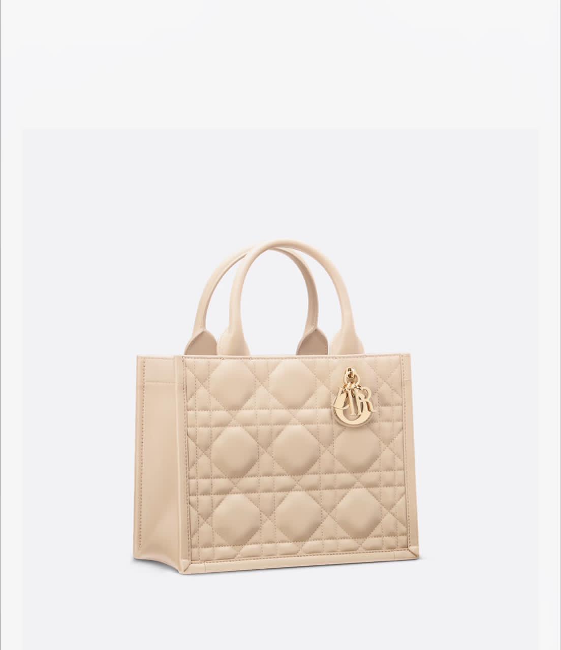 Small Dior Book Tote