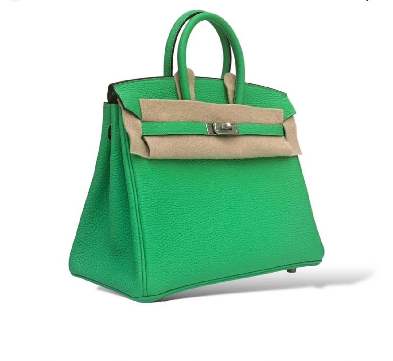 Hermes Birkin 25 Vert Comice Togo