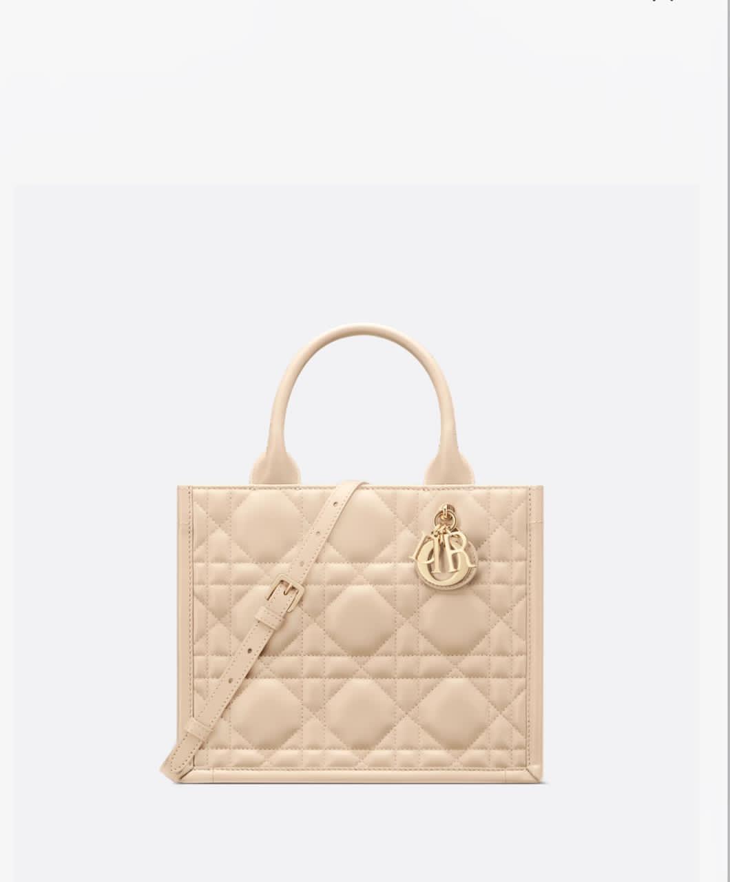 Small Dior Book Tote