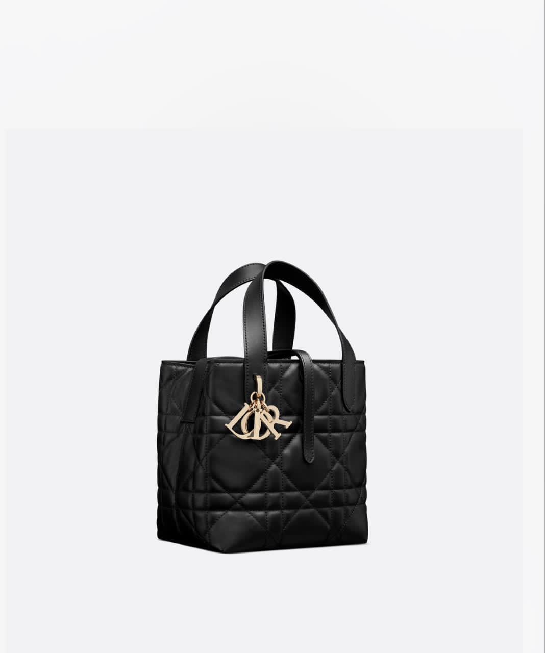 Small Dior Toujours Vertical Tote Bag