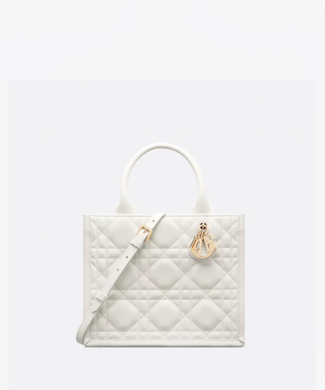 Small Dior Book Tote