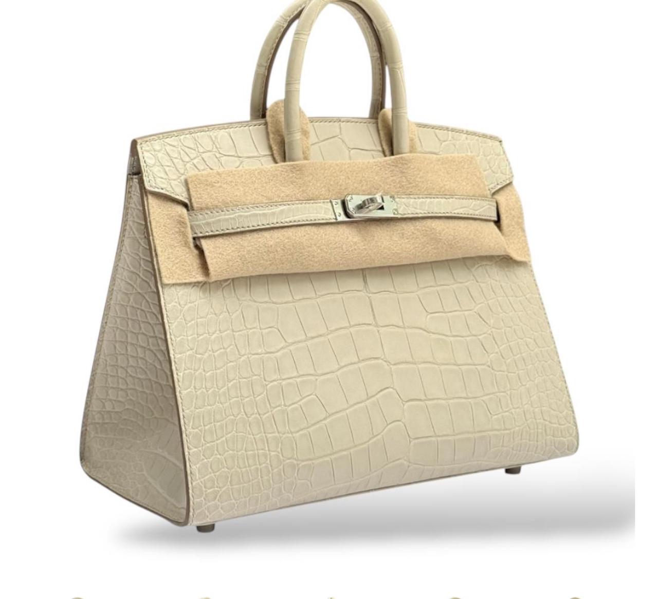 Hermes Birkin 25 Beton Croco