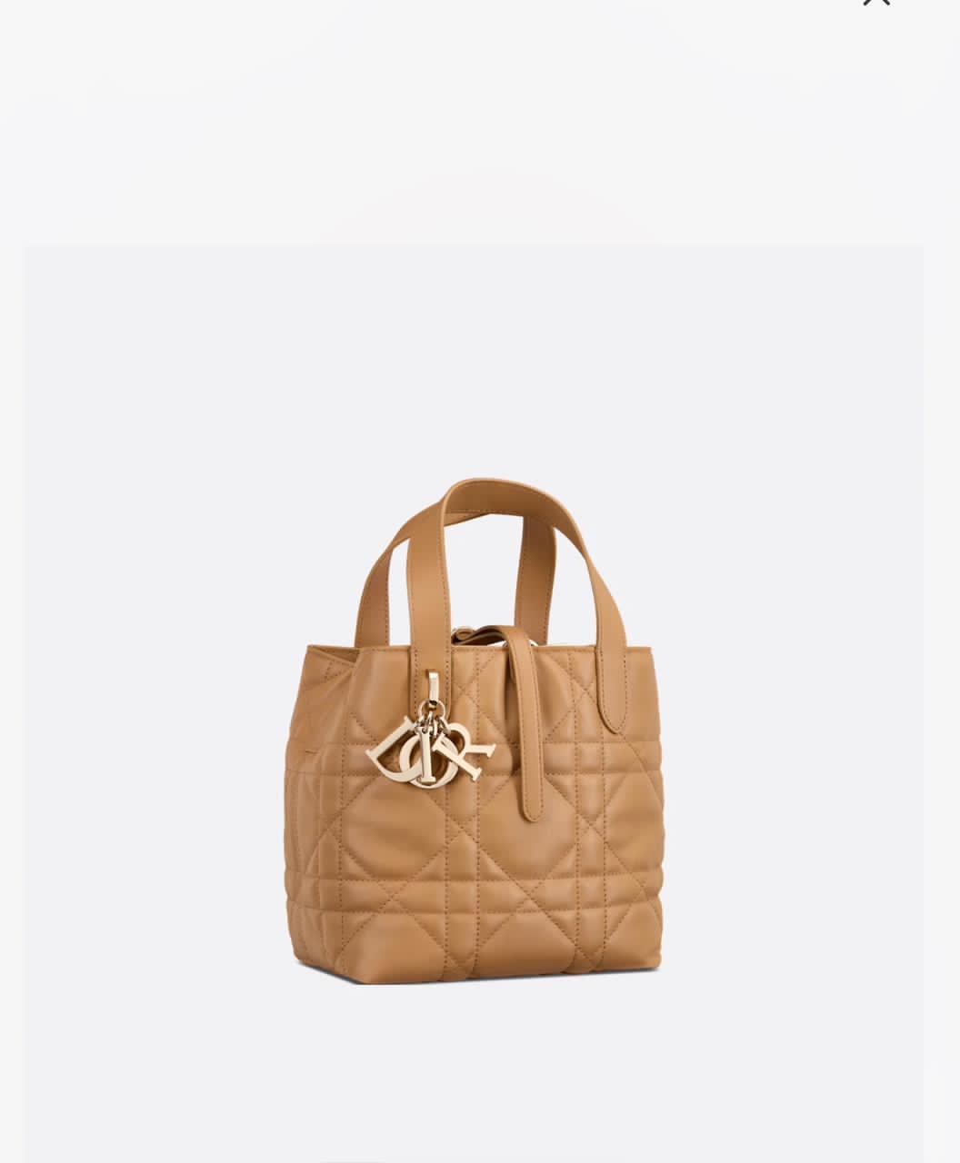 Small Dior Toujours Vertical Tote Bag