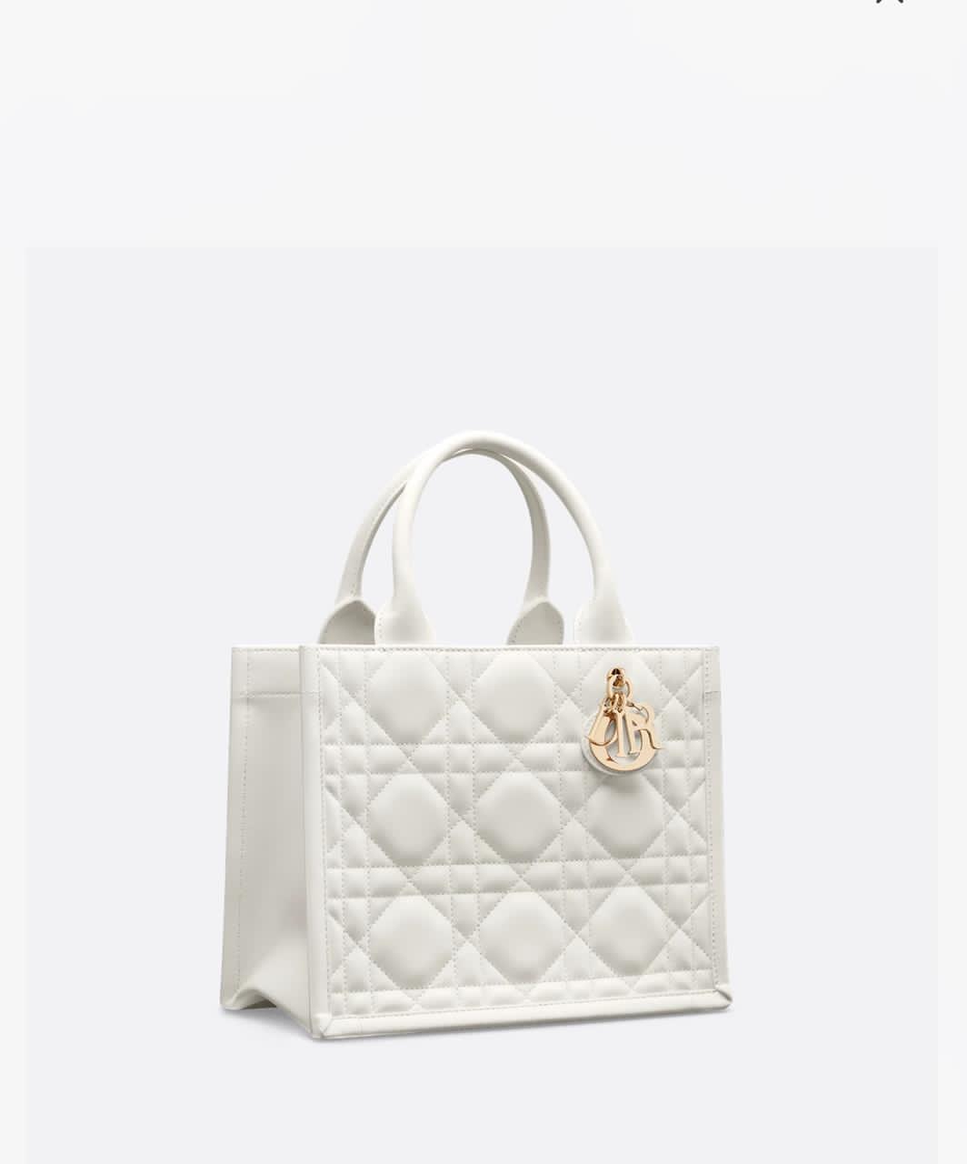 Small Dior Book Tote