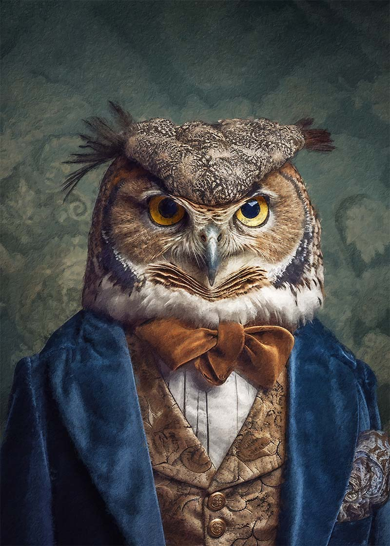 Elegant Owl Portrait Print