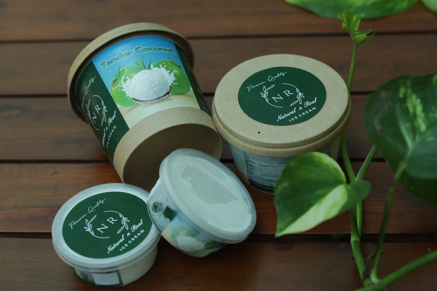 Natural Tender Coconut Ice Cream