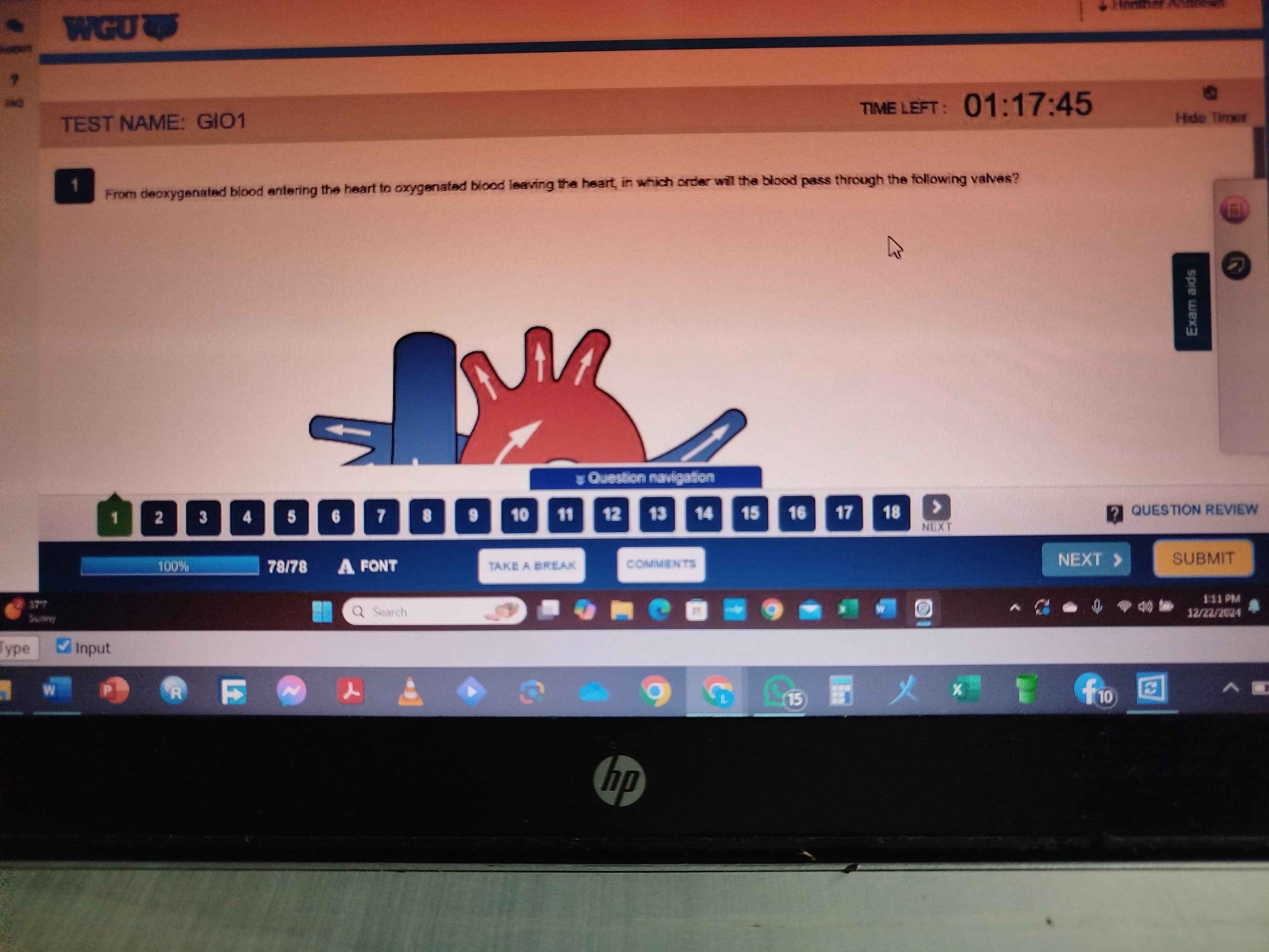 Anatomy and Physiology II with LAB (D313) Newly updated OA