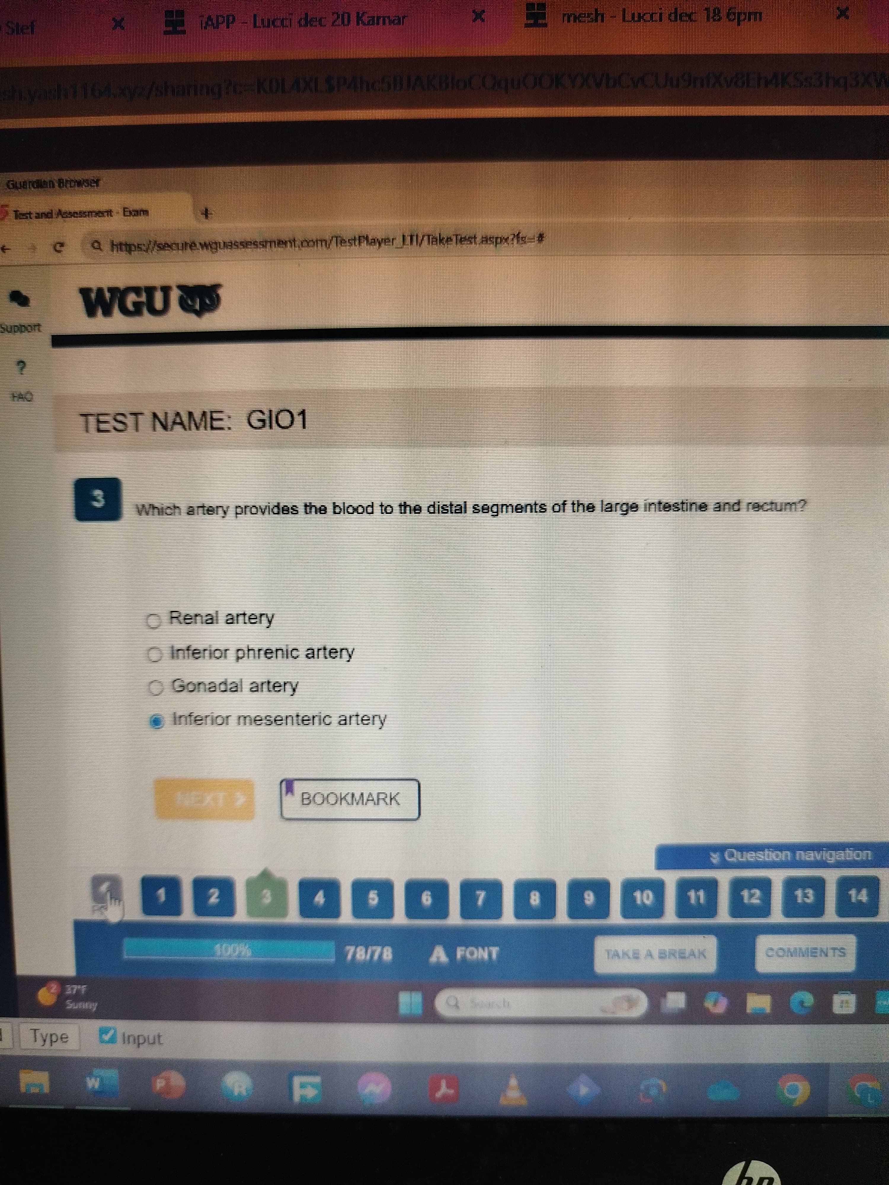 Anatomy and Physiology II with LAB (D313) Newly updated OA