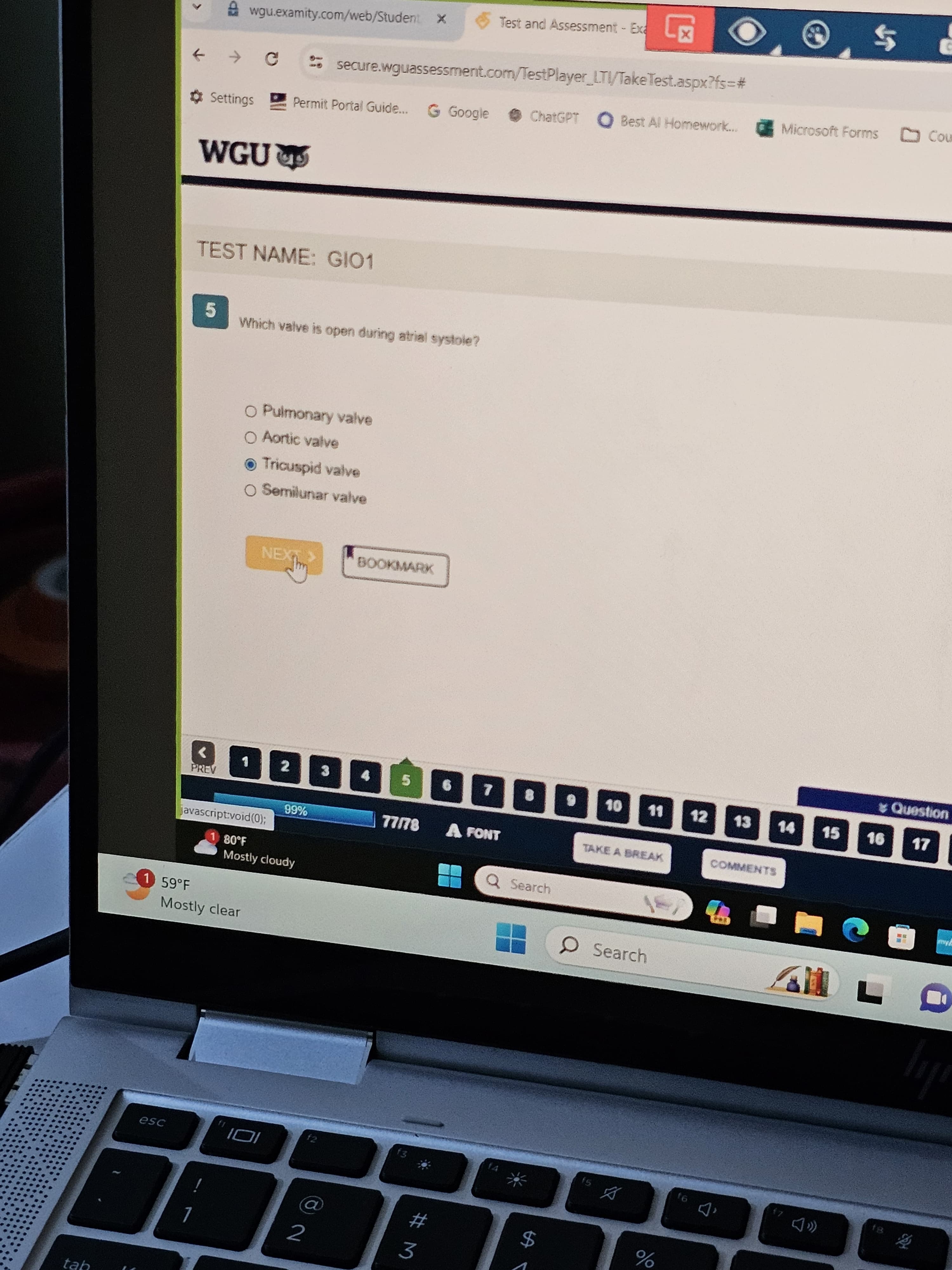 Anatomy and Physiology II with LAB (D313) Study Guide New OA2