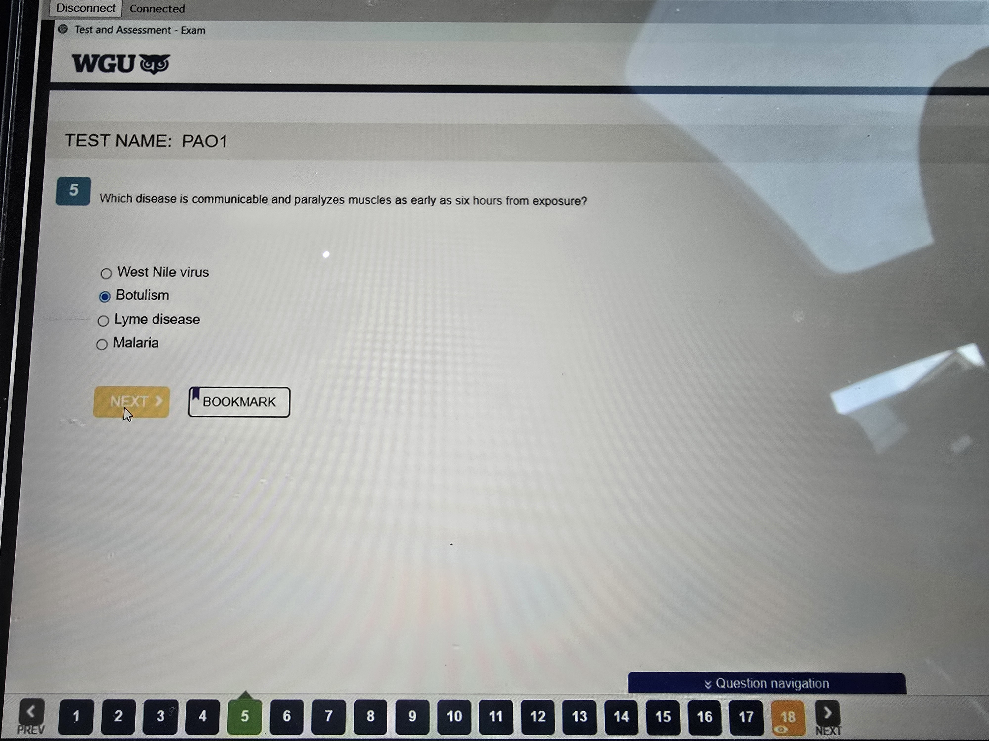 D236 Patho New Version