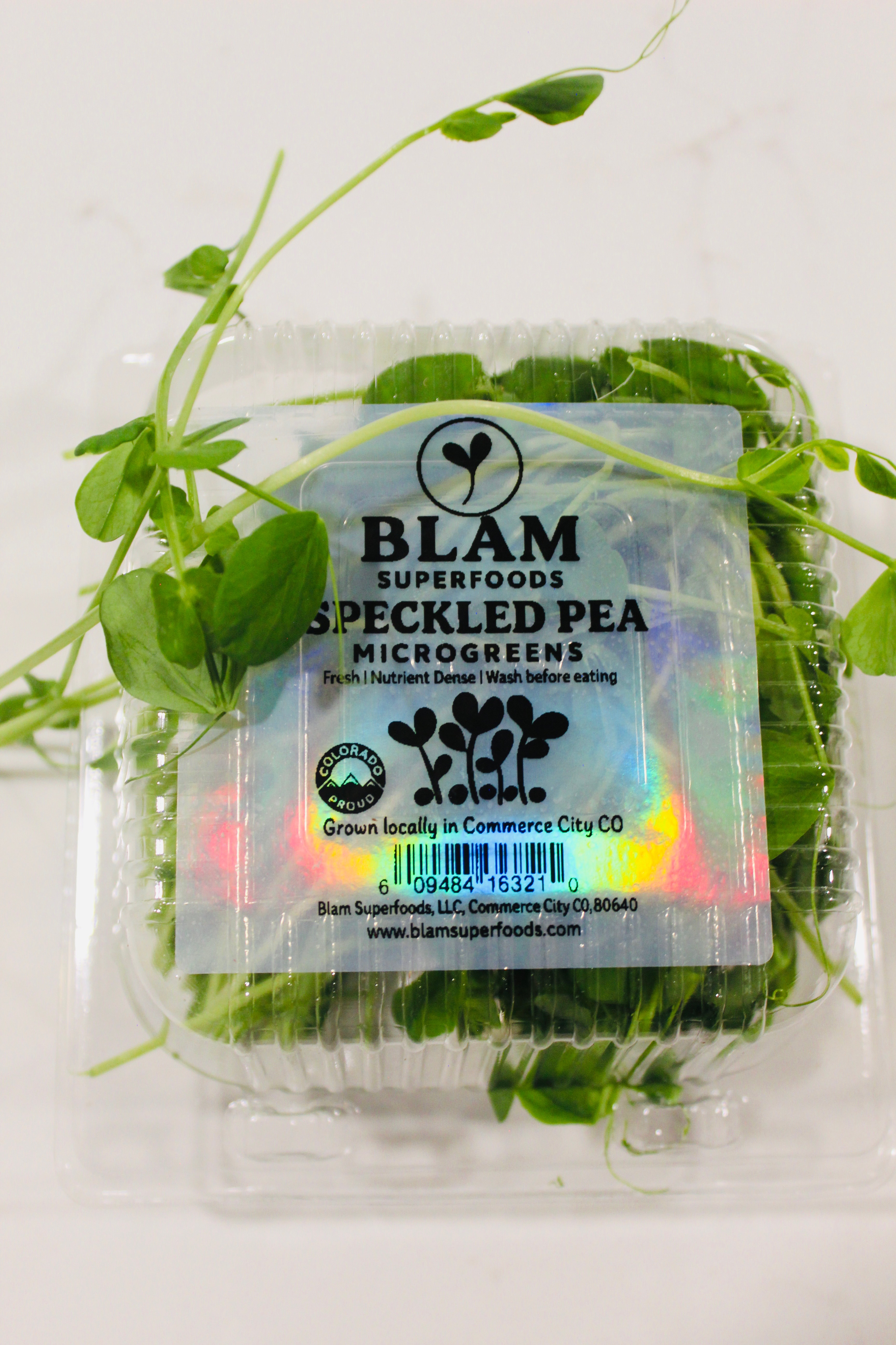 Speckeled Pea Microgreens 