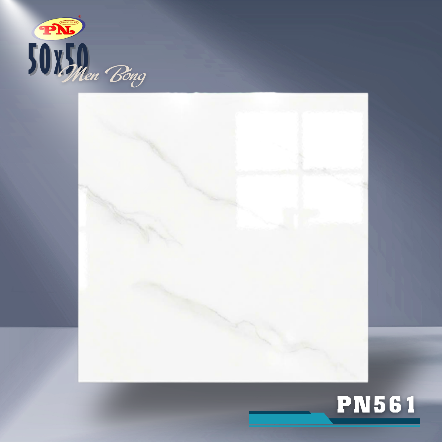 PN561