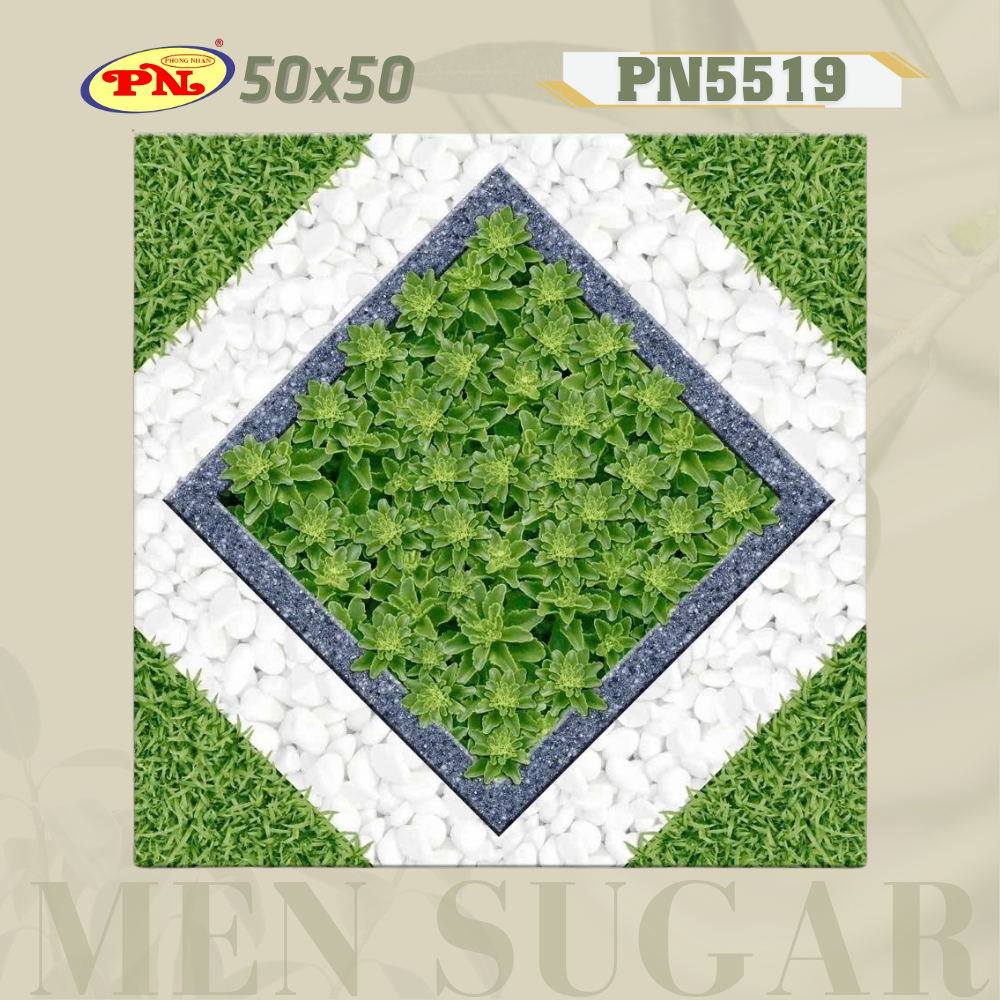PN5519