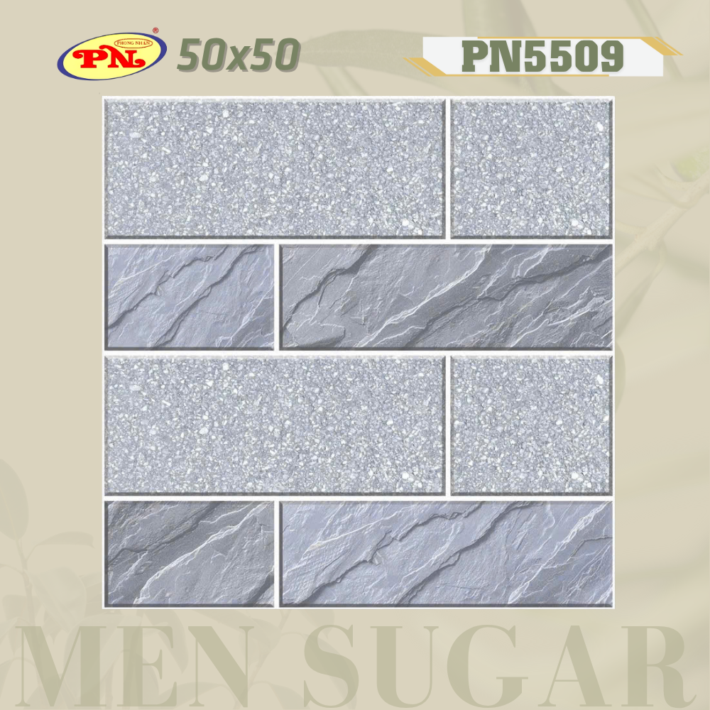 PN5509