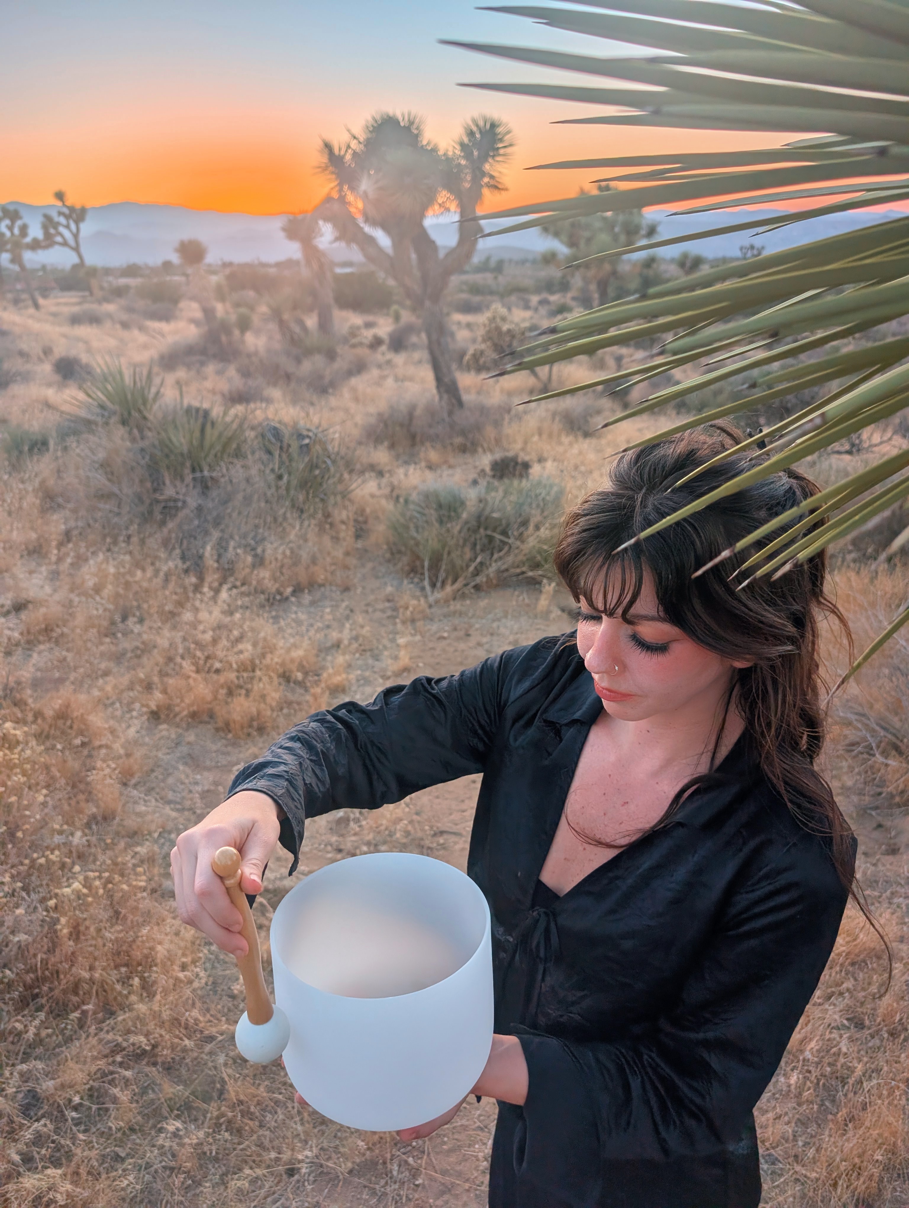1 Hour Sessions: Crystal Quartz Bowls 