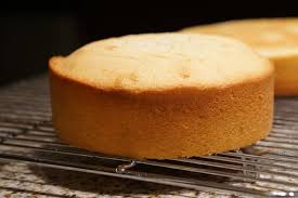 Plain Vanilla Sponge Cake