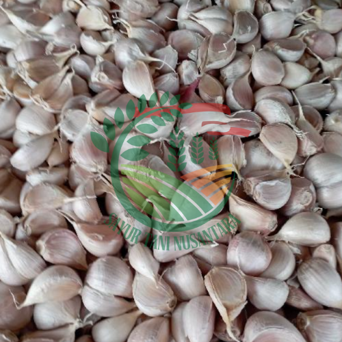 Bawang putih kating / 500 gram
