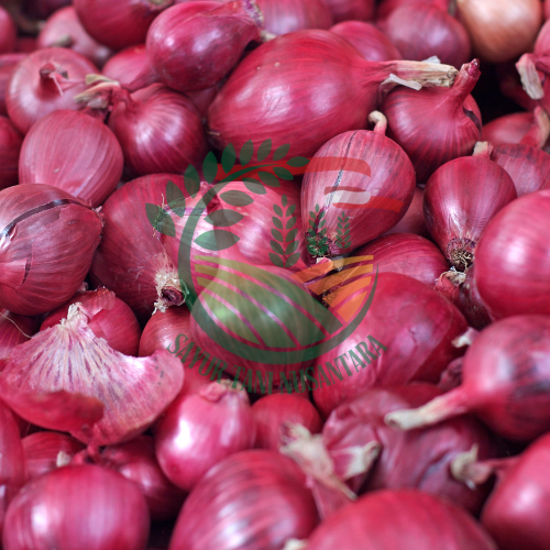 Bawang Merah / 500 gram
