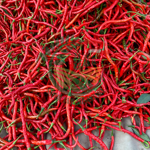 Cabai merah Kriting / 500 gram