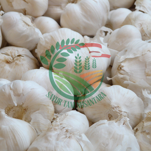 Bawang Putih / 500 gram