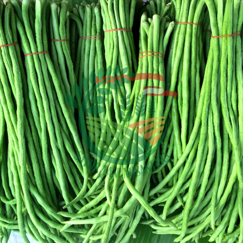 Kacang Panjang / 500 gram