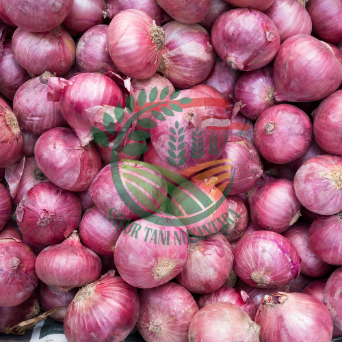 Bawang Merah / 500 gram
