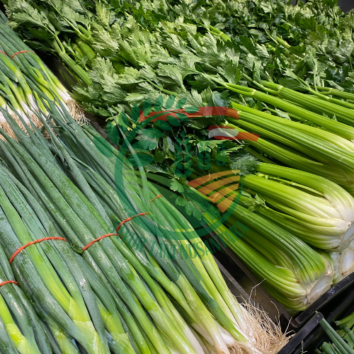 Paket Daun Bawang & Seledri