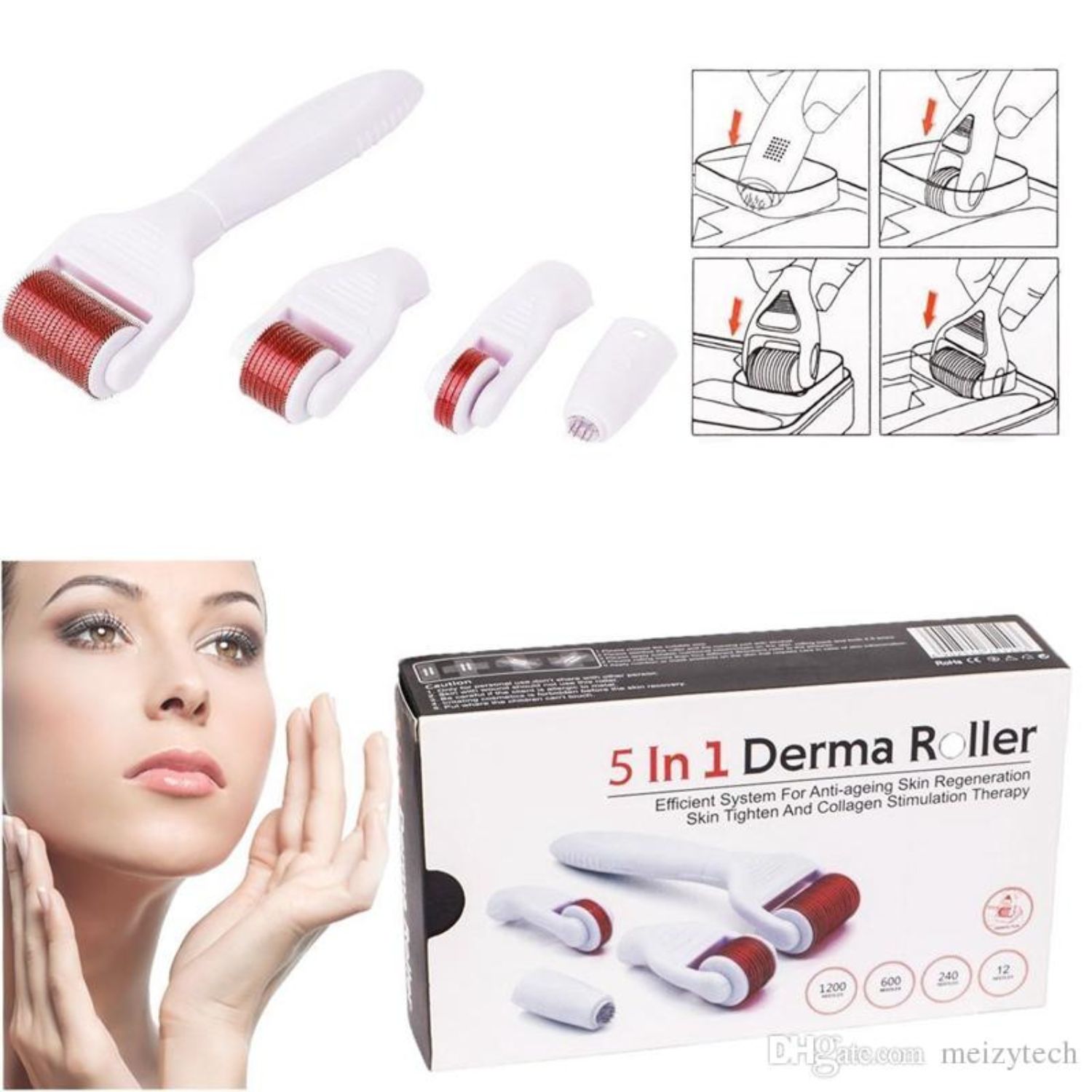 5 in 1 Derma Roller