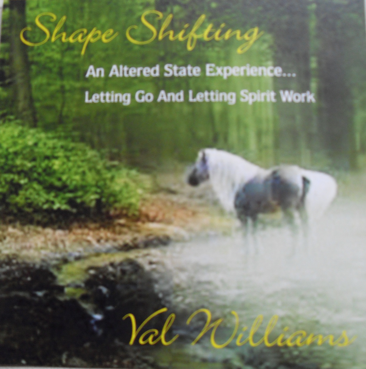 Guided Meditation - Shapeshifting - Preparing for Trance