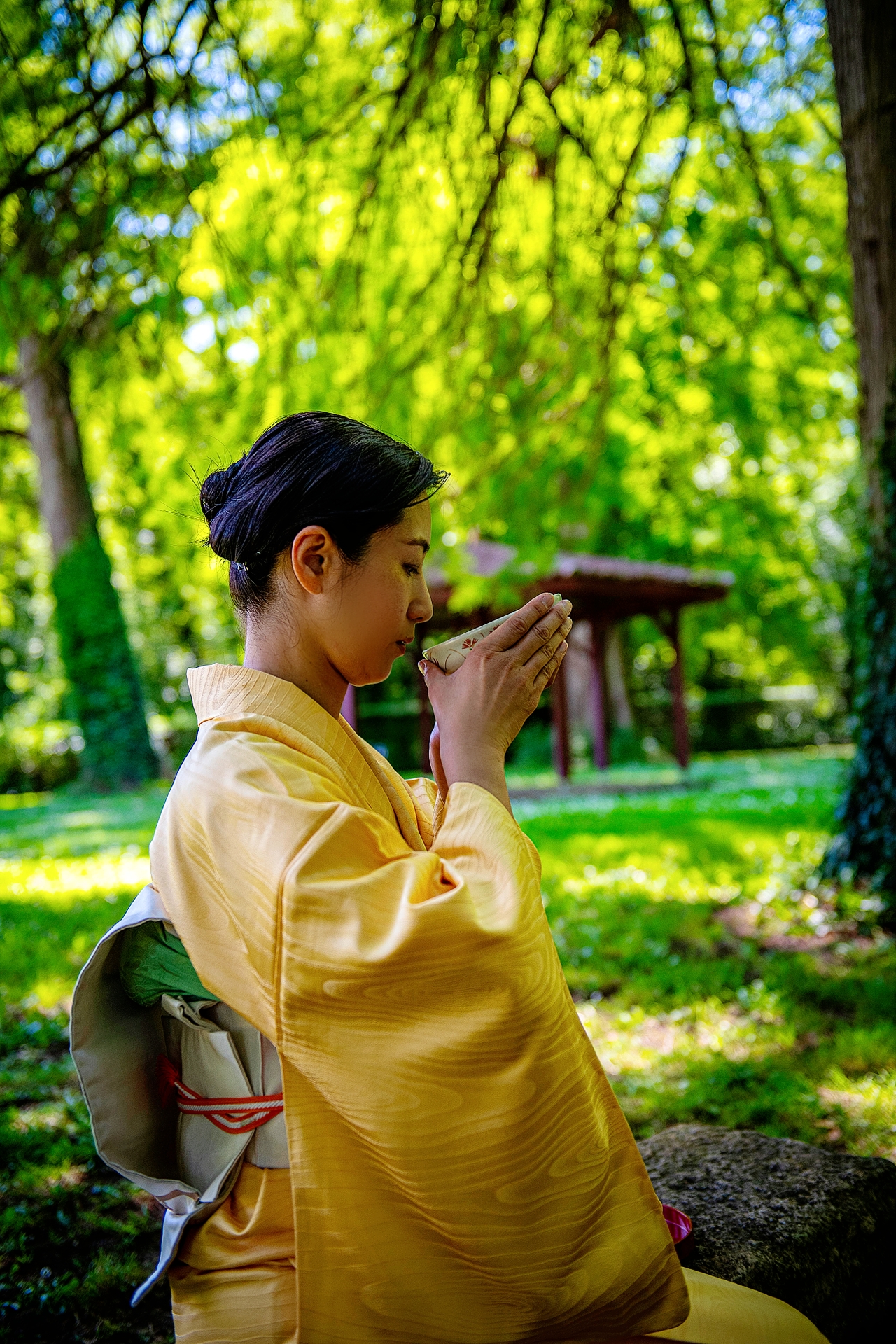 Cérémonie du thé japonais 