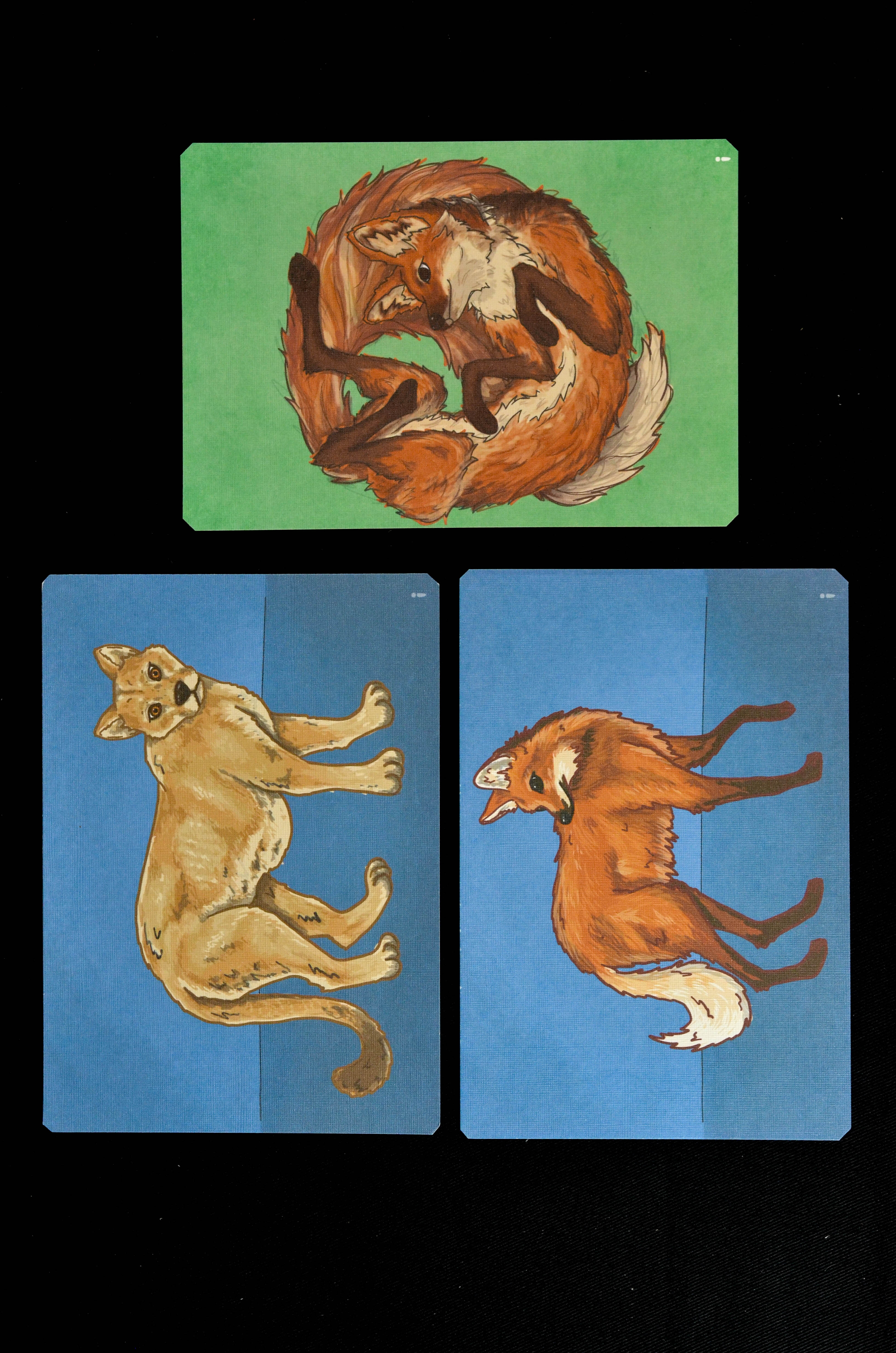 Postales de Animales Nativos