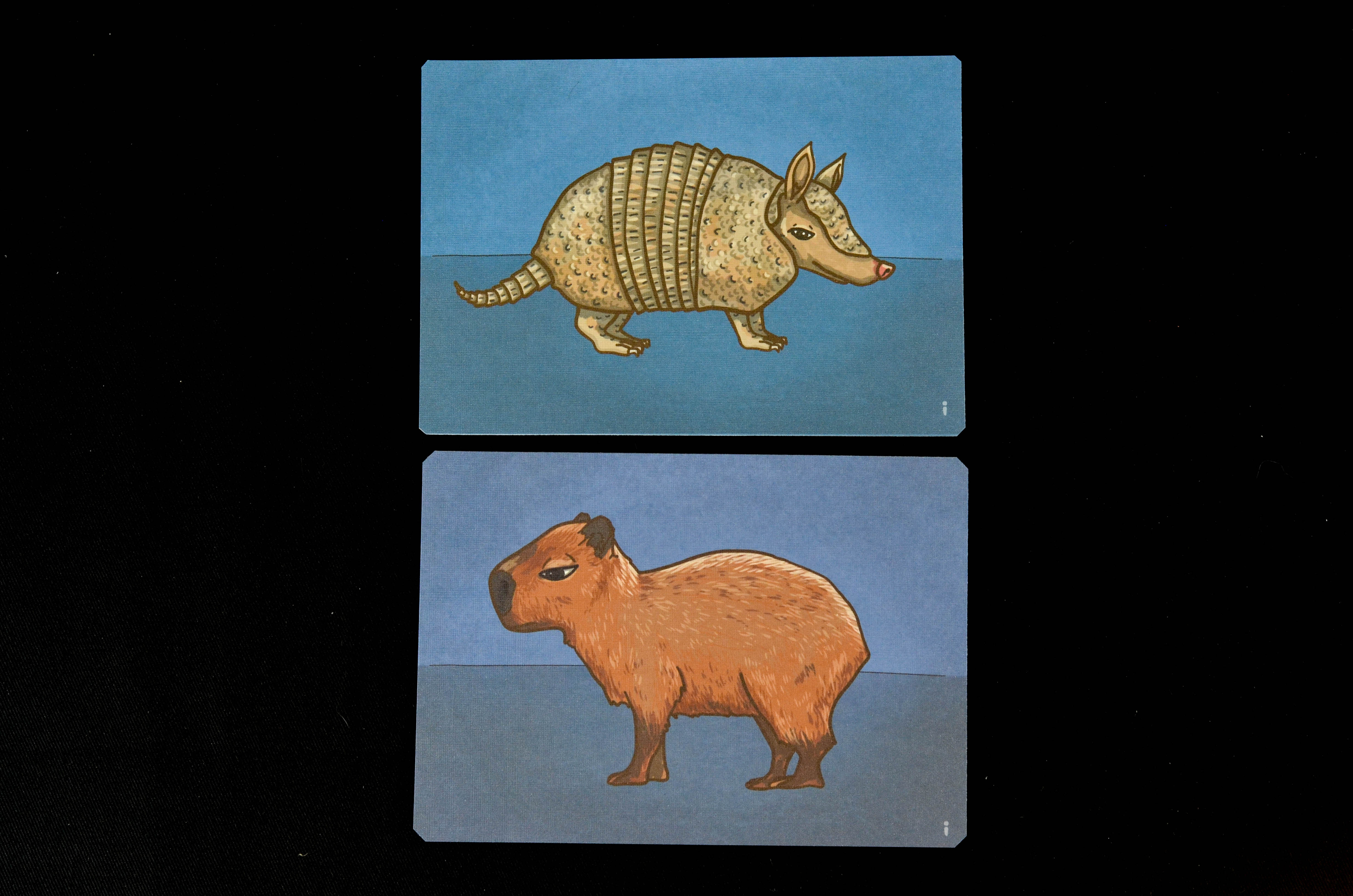 Postales de Animales Nativos