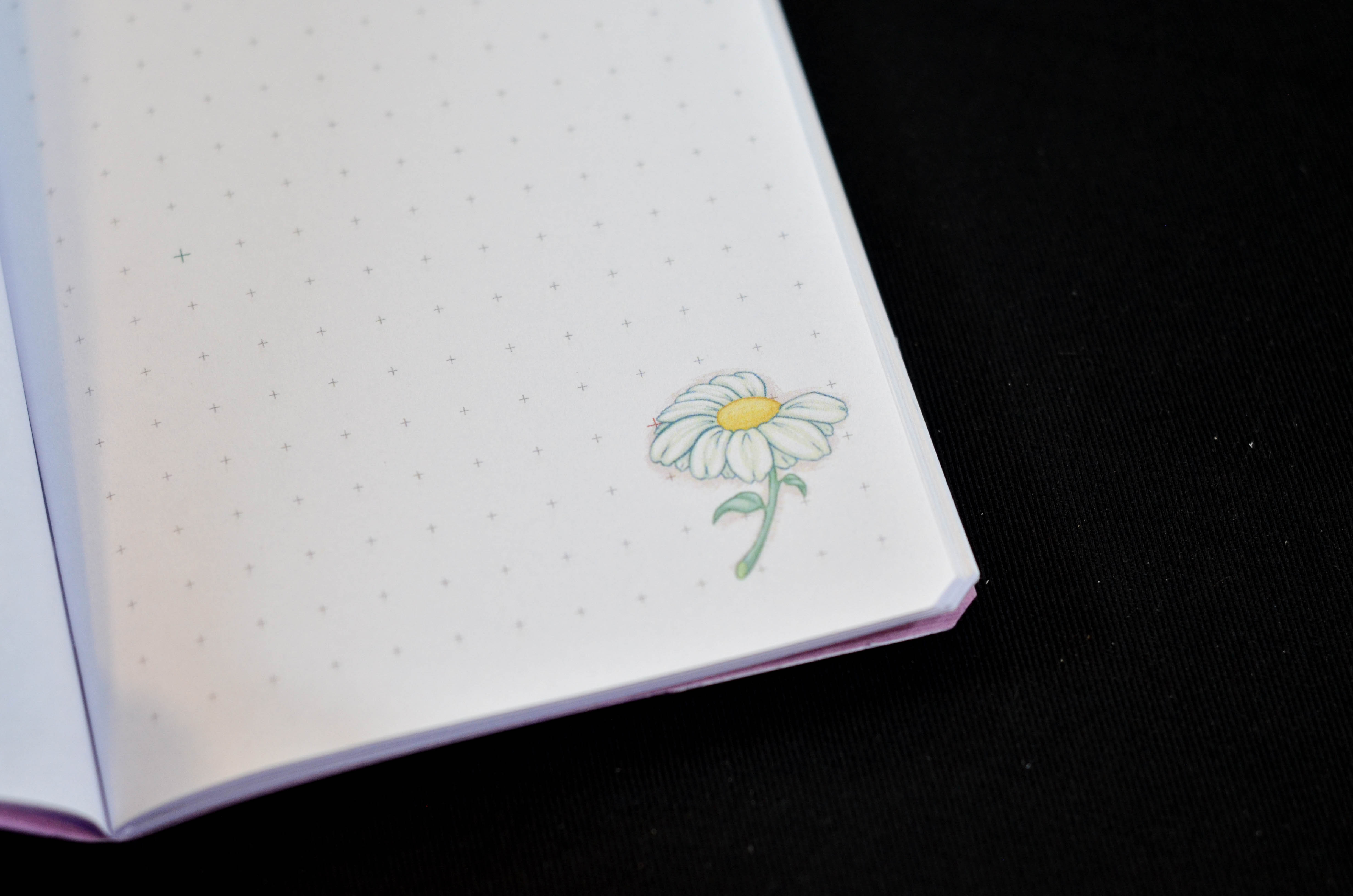 Libretita Margaritas