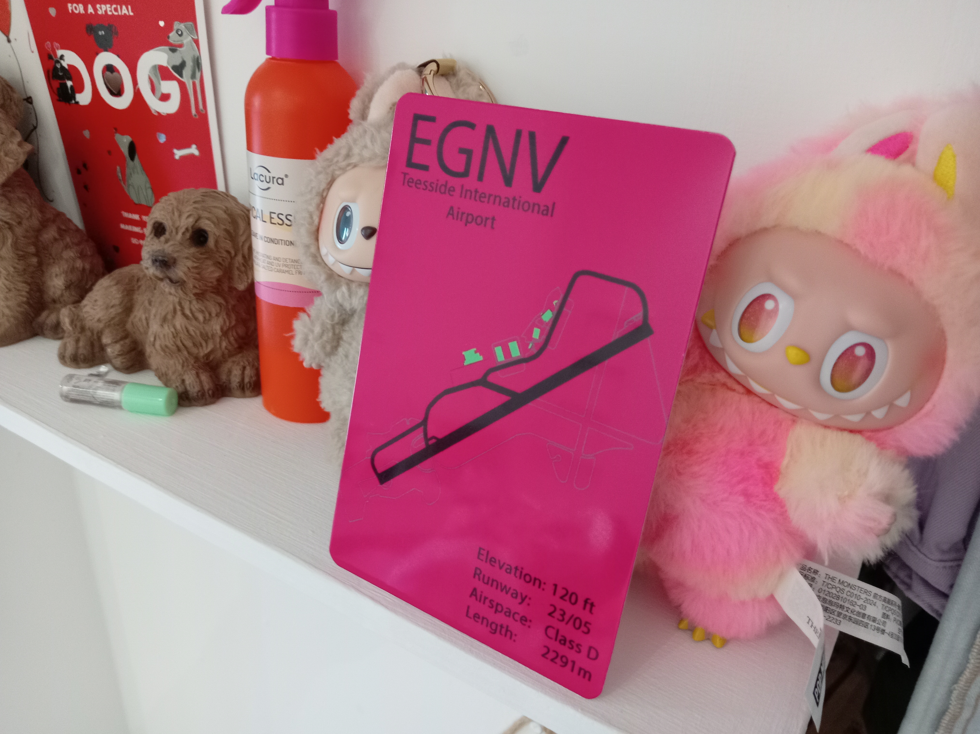 Teesside International Airport (EGNV) Aviation Metal Print