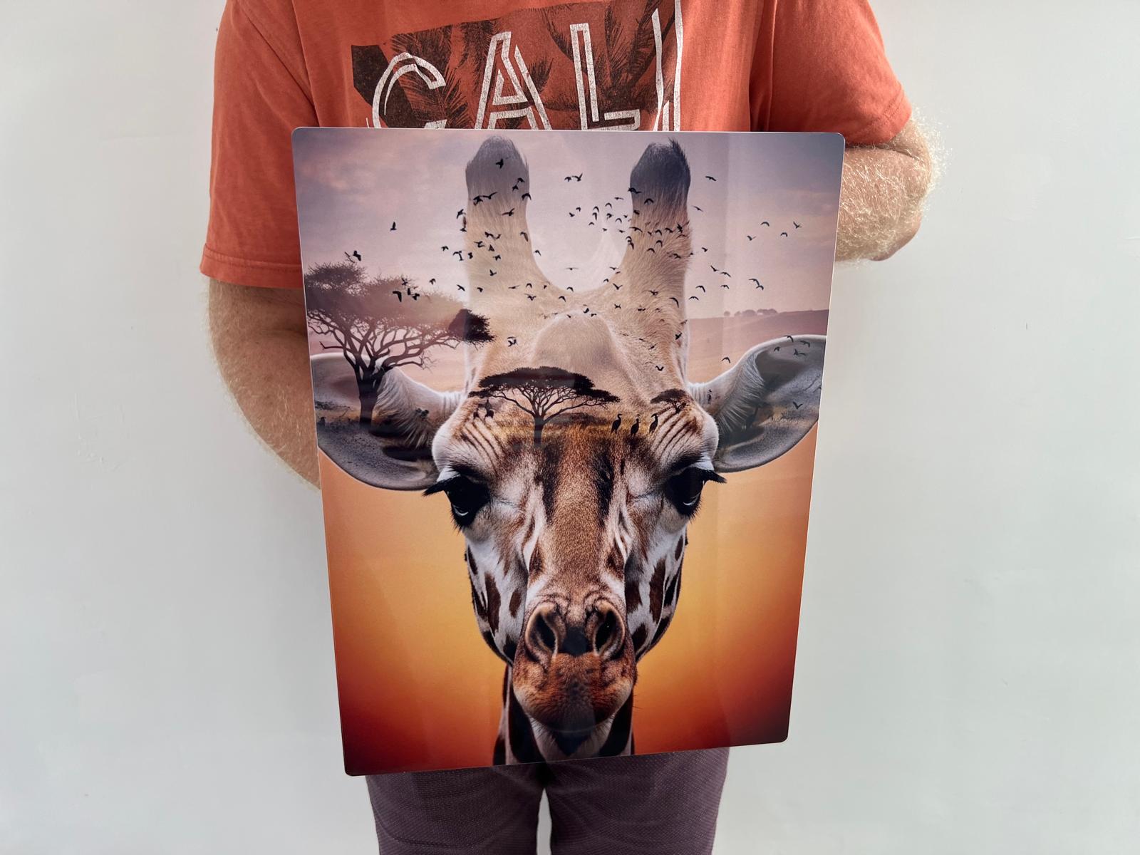 Bespoke Metal Artwork/Print