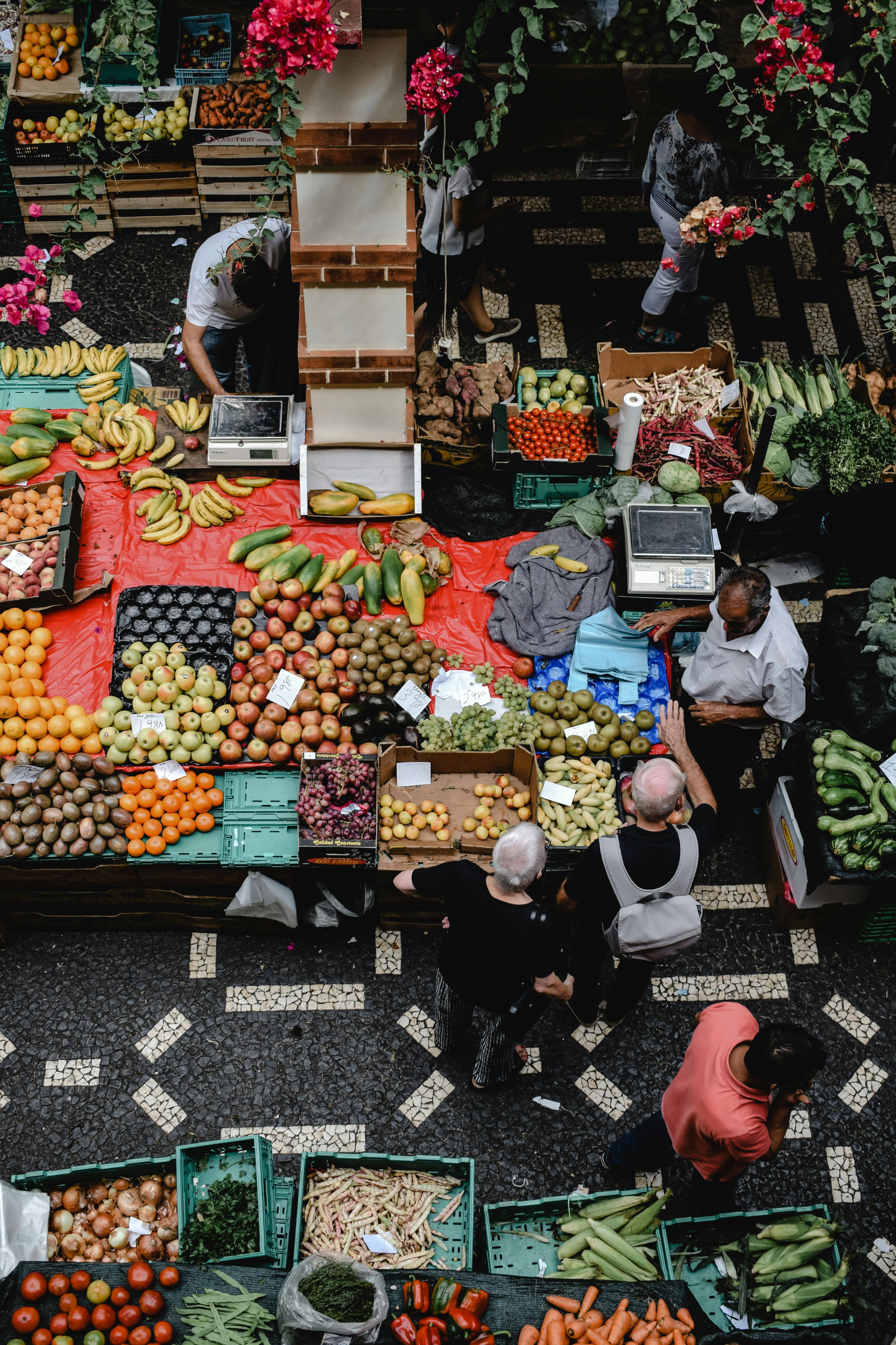 Art & Food in the South Coast