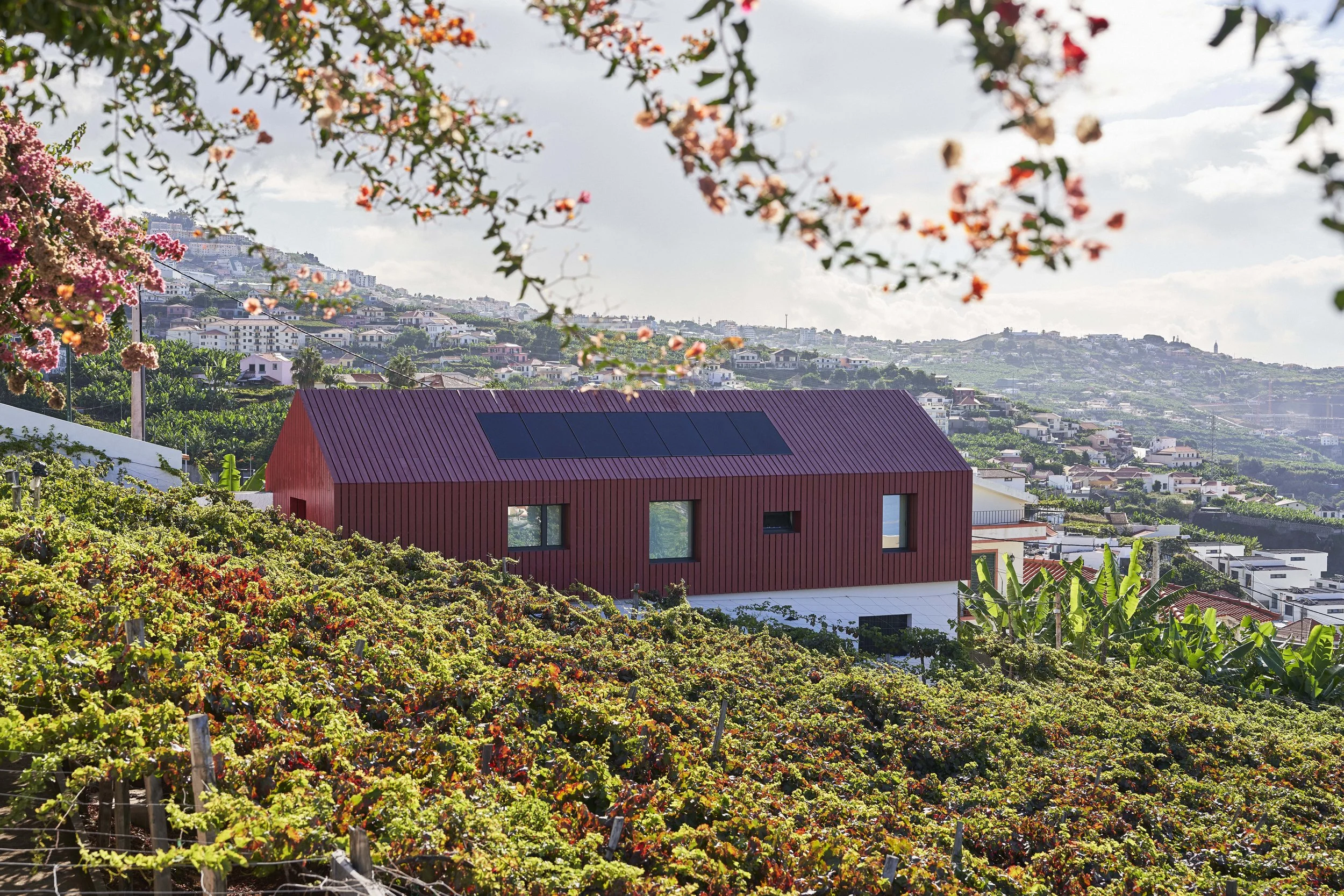 Art gallery and Wine cellar
