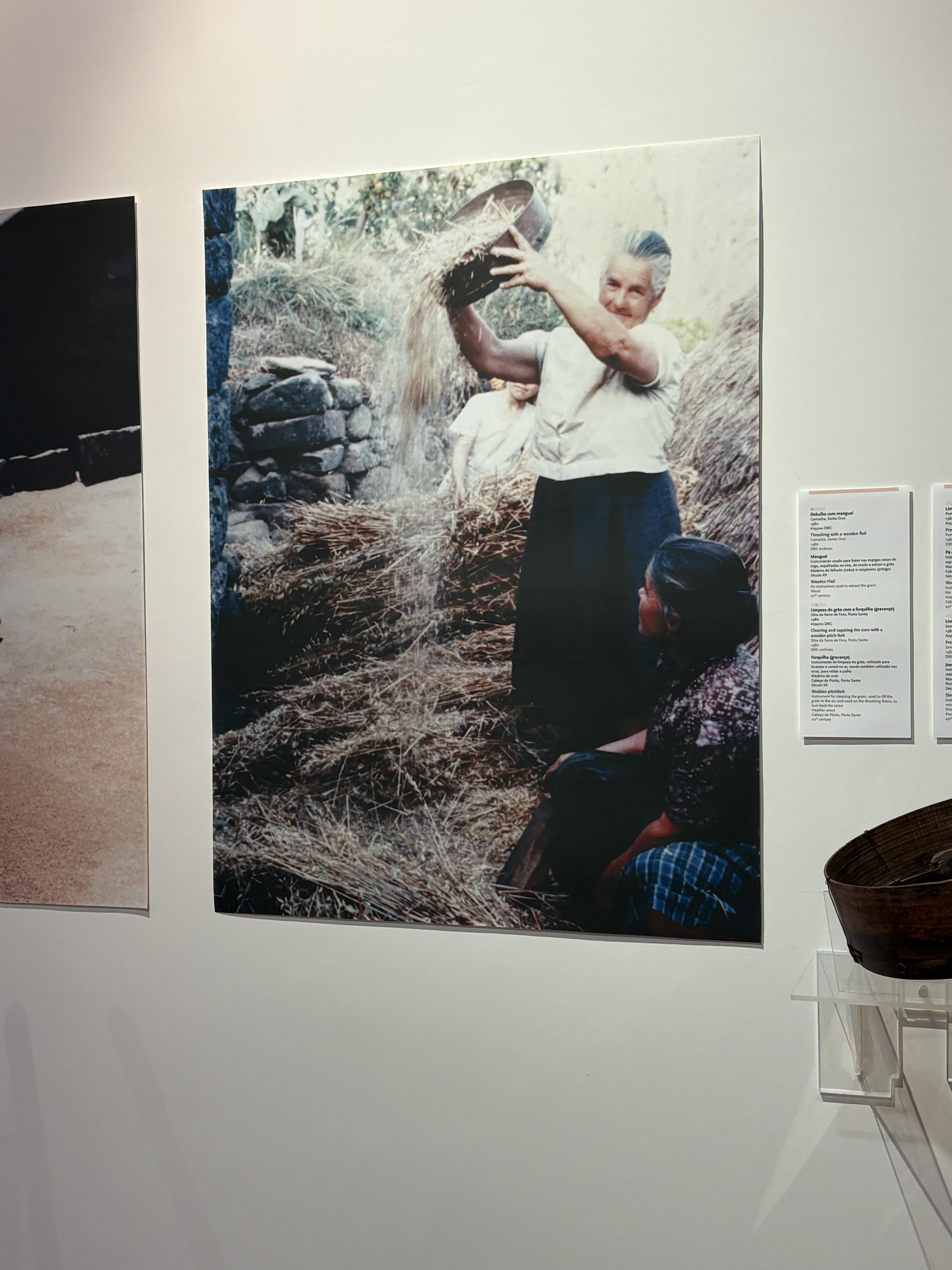 Art & Food in the South Coast