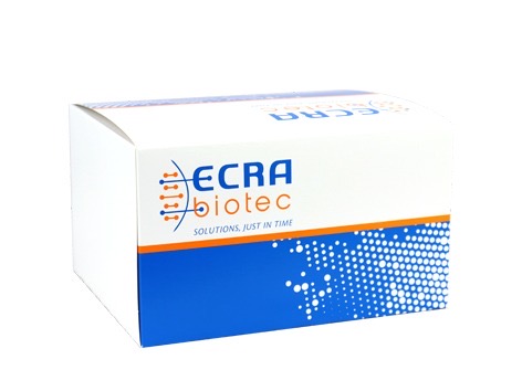 Kit de diagnóstico ECRA Biotec