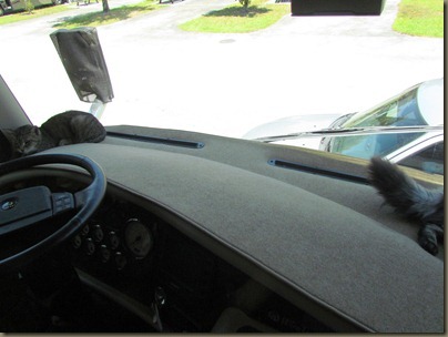 RV Dash Cover